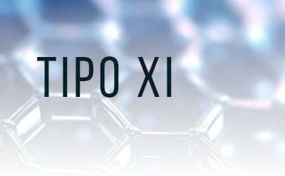 Glucogenosis Tipo 11