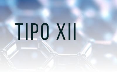 Glucogenosis Tipo 12