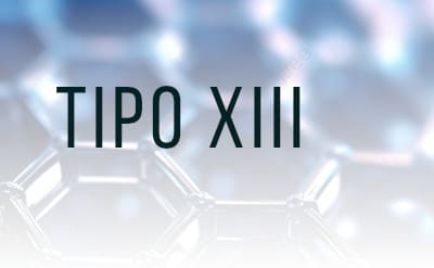 Glucogenosis Tipo 13